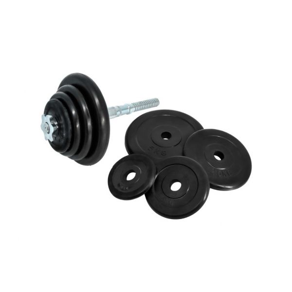 Гантелі набірні Fitnessport DB-02-21 кг (ручка - хром) пара DB-02-21 фото