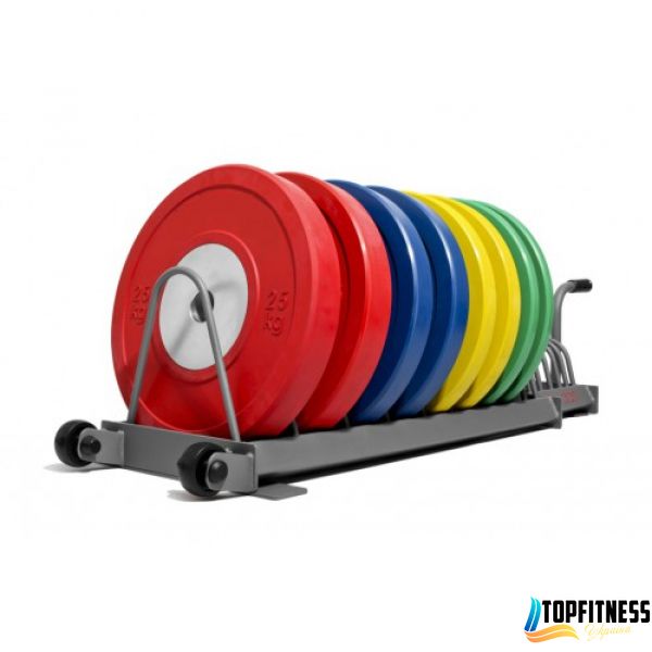 Диск для кросфіту кольоровий Fitnessport RCP22-10 кг RCP22-10 фото