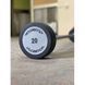 Прямая цельная штанга 10 кг Technogym TGP-10kg 131548 фото 4