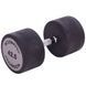 Гантель цільна Technogym TG-42,5 кг
