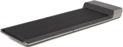 Беговая дорожка Toorx Treadmill WalkingPad Mineral Grey (WPSD-G) 929879 фото