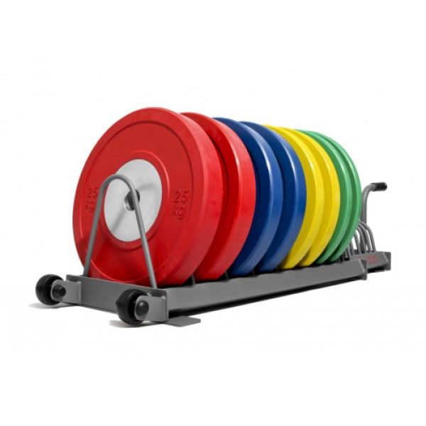 Диск для кроссфита цветной Fitnessport RCP22-5 кг RCP22-5 фото