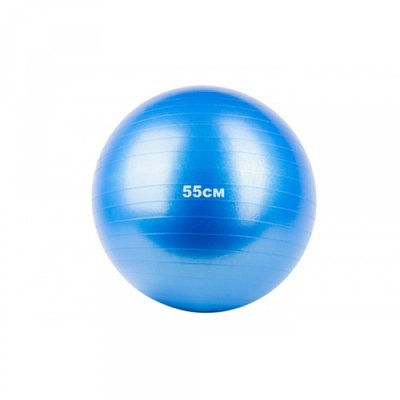М'яч гімнастичний Fitnessport GB-55 см GB-55 фото