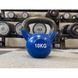 Чугунная гиря с виниловым покрытием 10 кг Generation Fitness FF51F1A-10kg 522874 фото 3