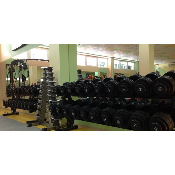 Хромированный гантельный ряд Fitnessport D-04 1-10 кг (10 пар) 110 кг D-04 фото