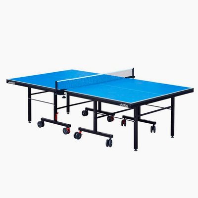 Професійний тенісний стіл GSI-sport G-profi 200 Pr-200 фото